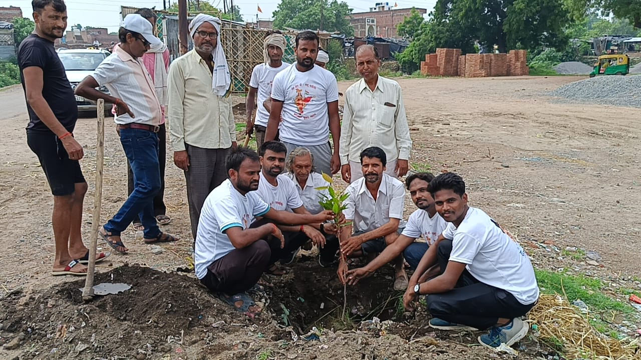 Upendra Kumar roushan Tree planting